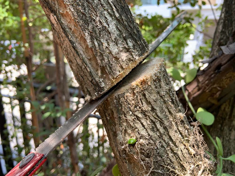 Worst People On Earth facts 