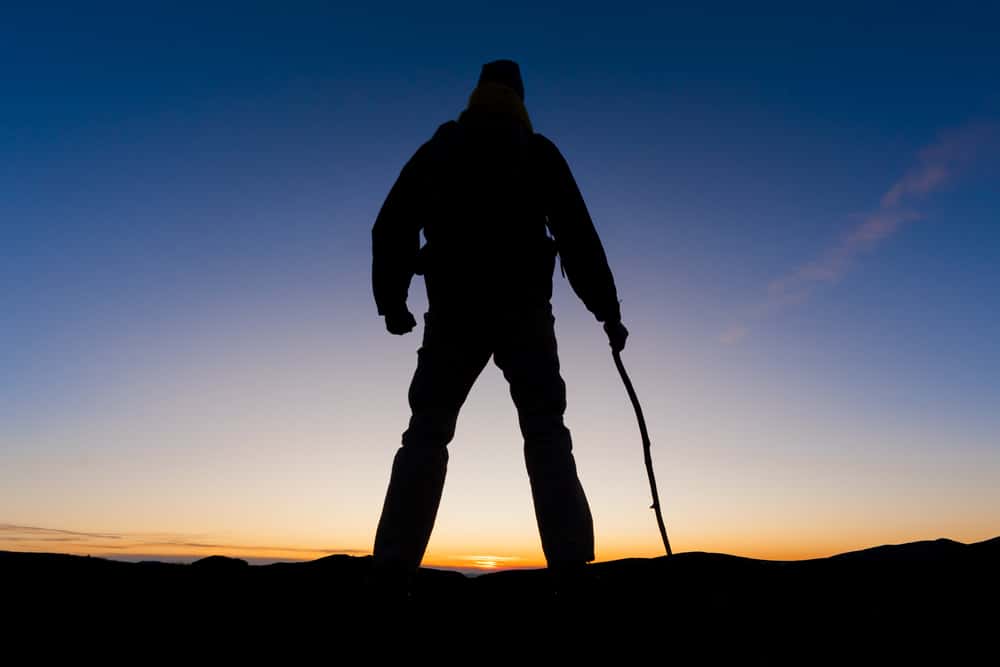 Creepiest Thing Facts