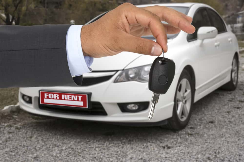 Ruined Jerk's Day Facts