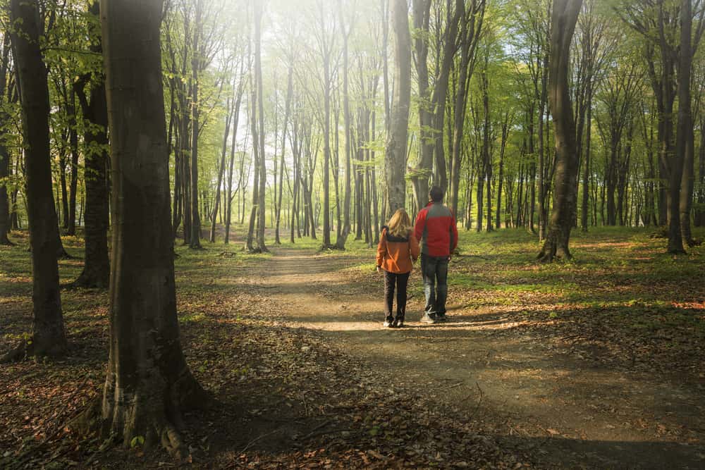 Need to Leave Now facts