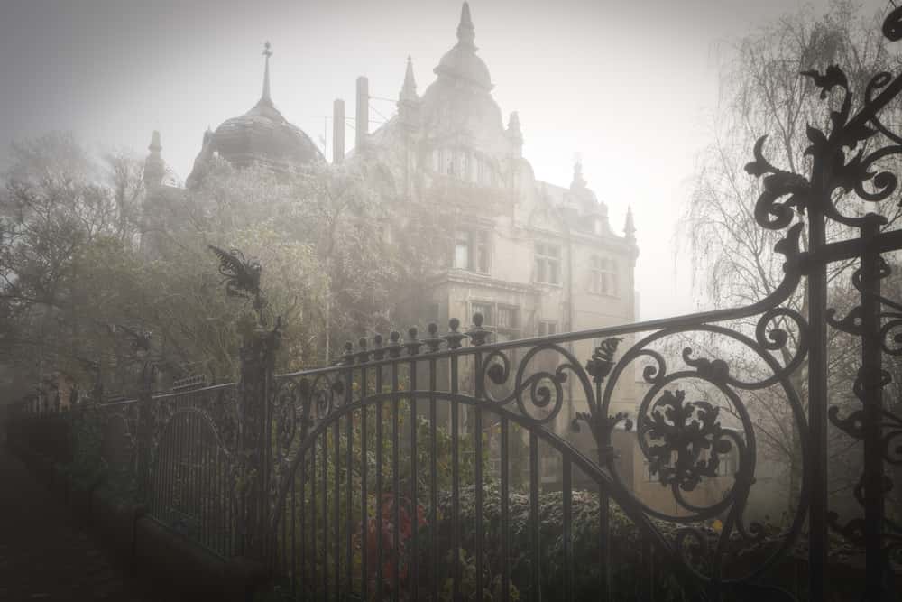 Elisabeth Marie Facts