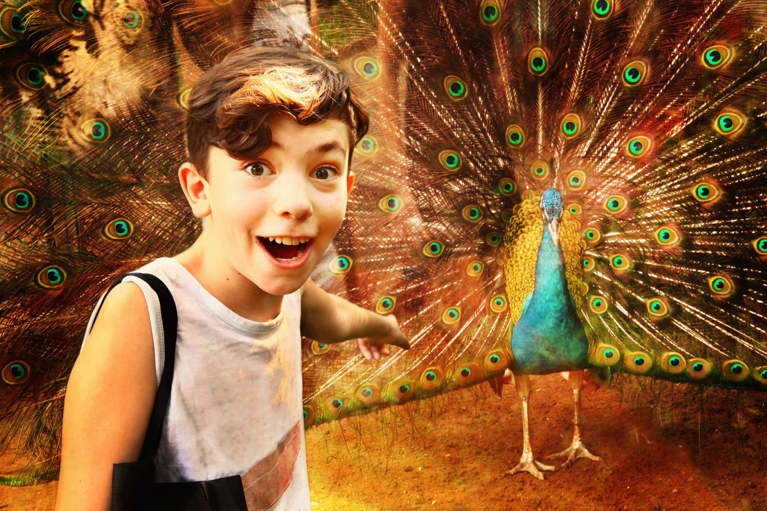 False Accusations facts