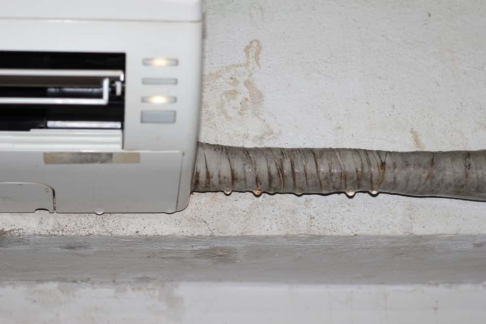 Hotel Horror Stories Facts