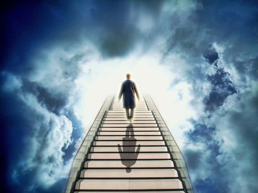 Mental Disorders facts