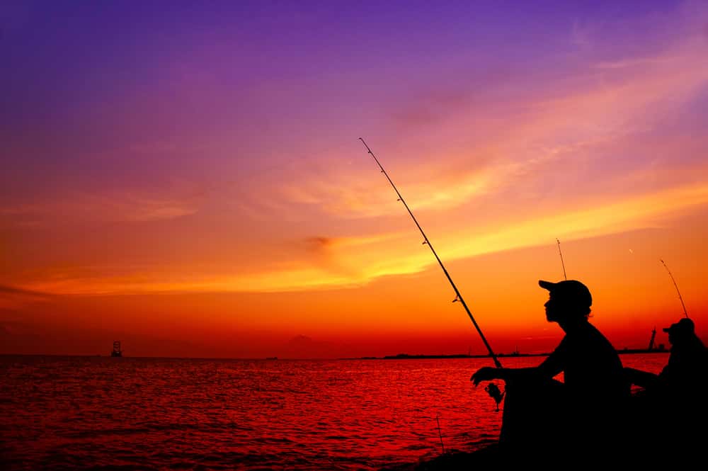 Need to Leave Now facts