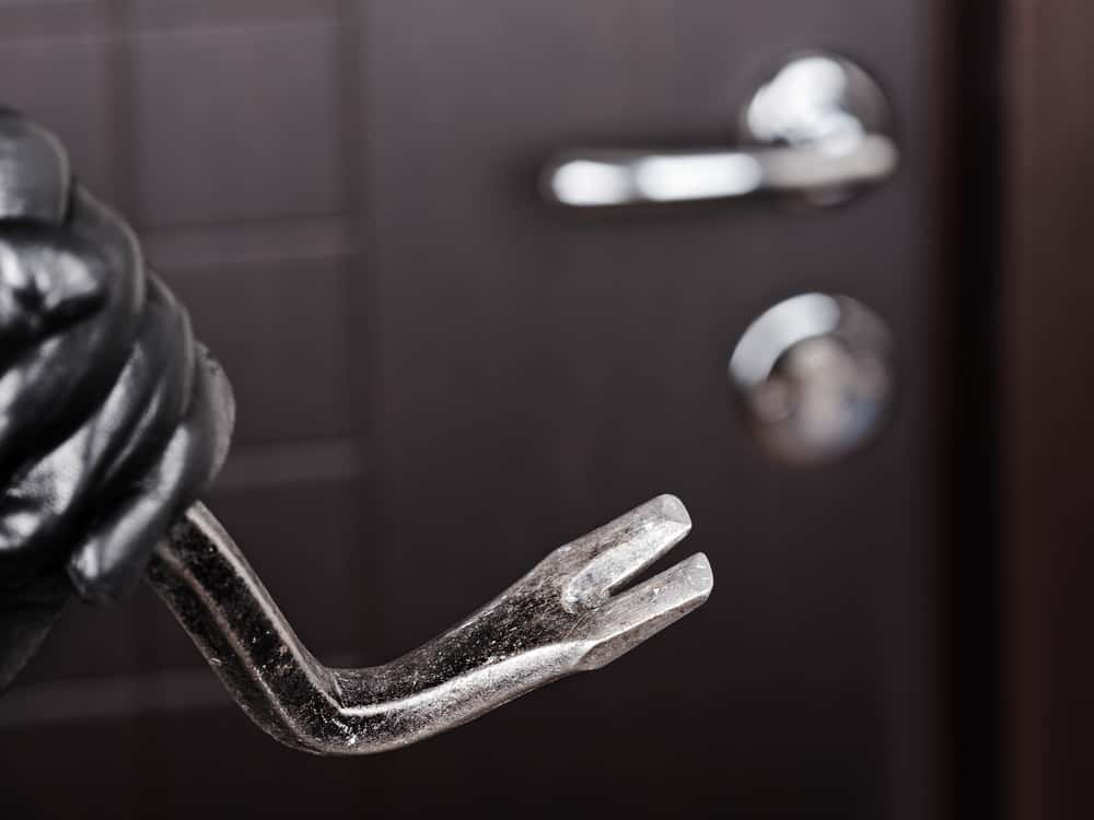 High School Gossip facts