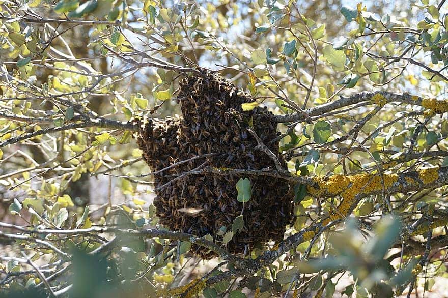 Need to Leave Now facts