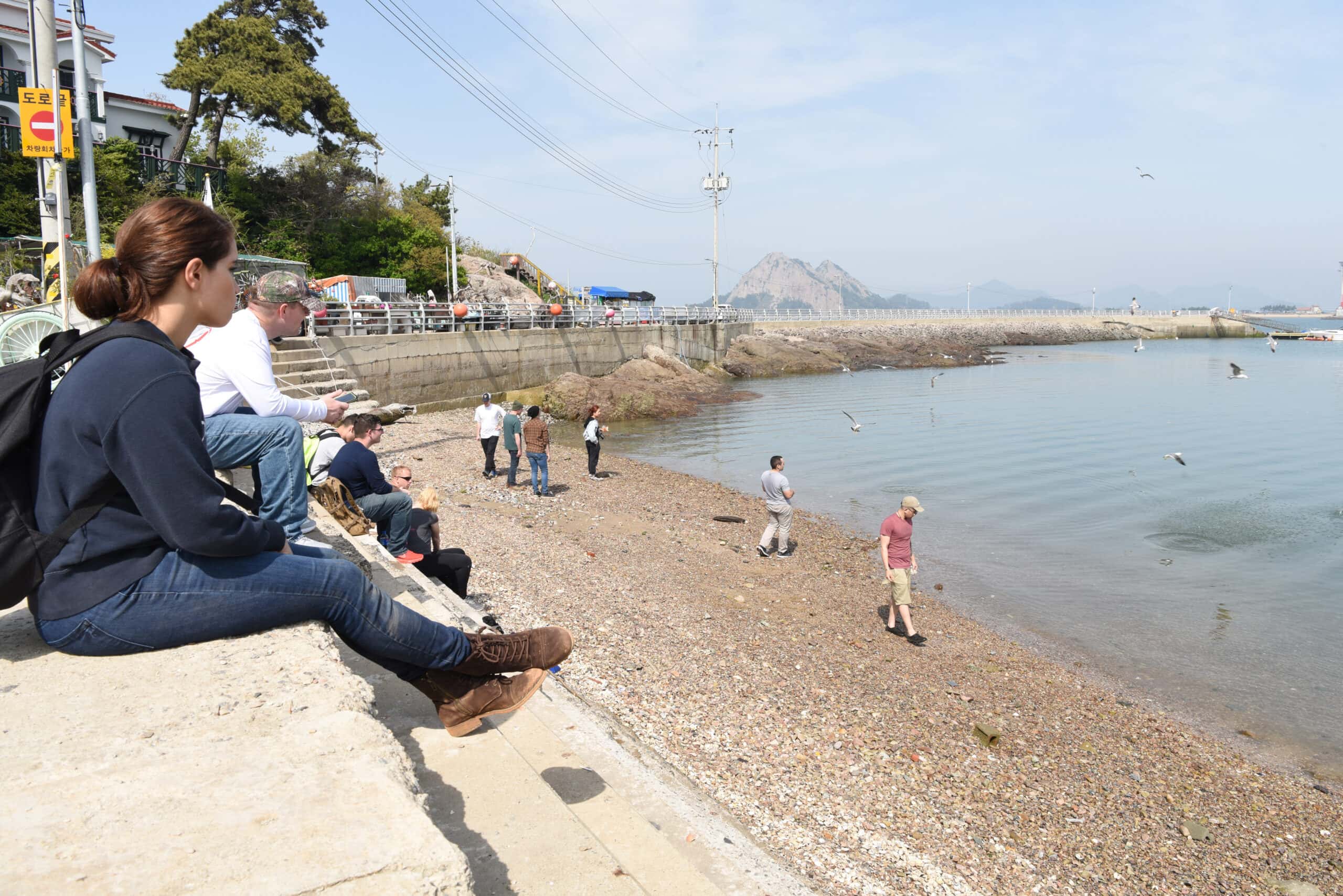 Brutal Comebacks facts