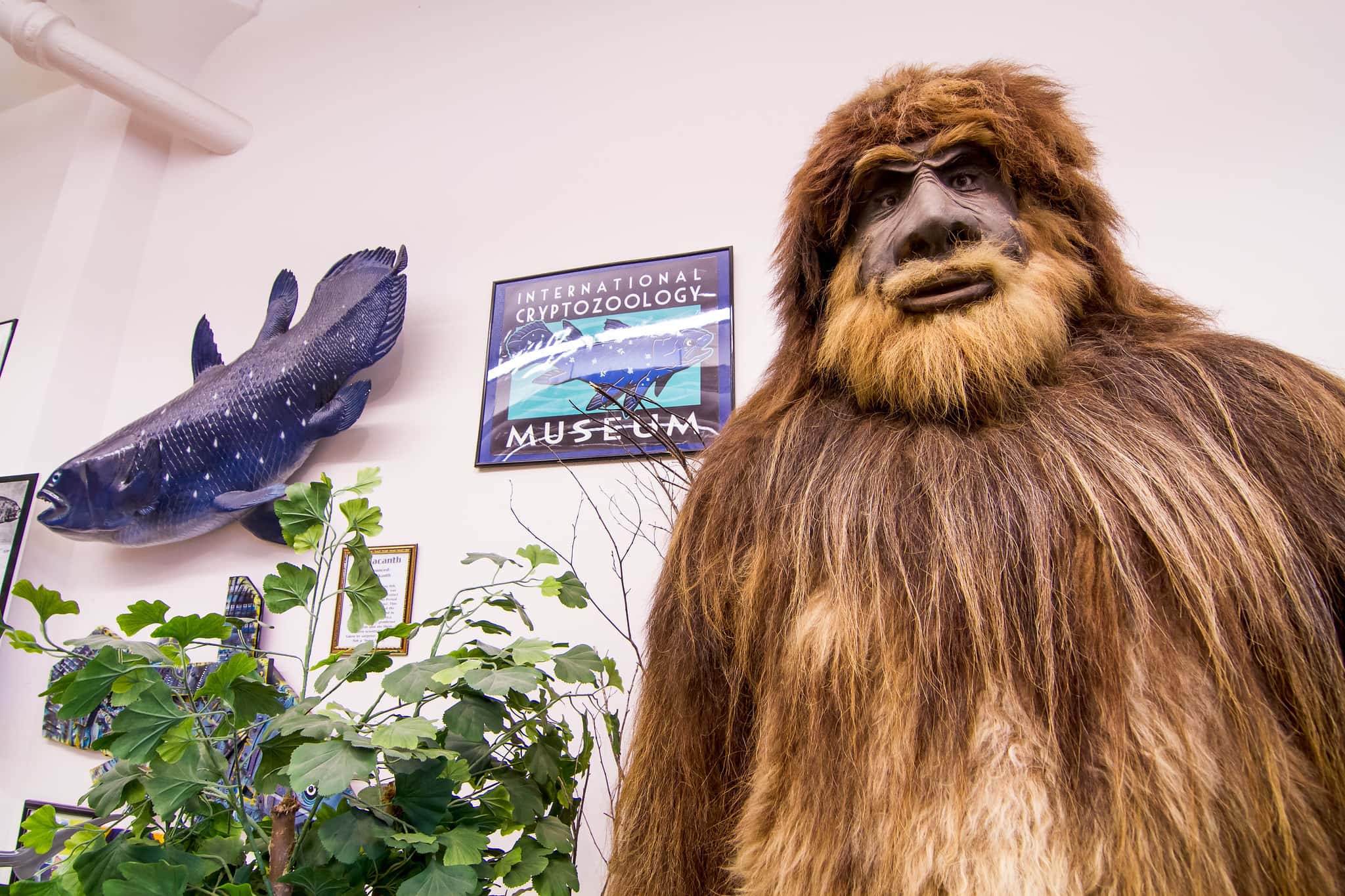 Cryptozoology Facts