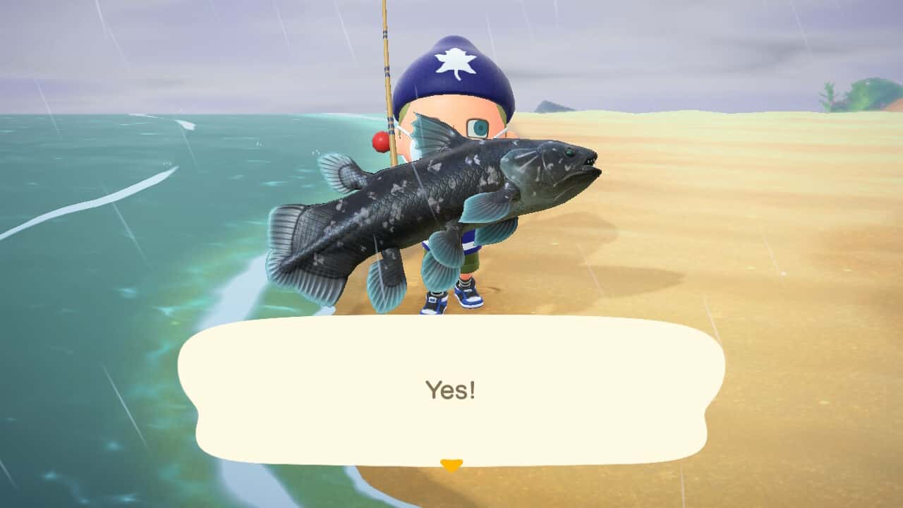 Animal Crossing Editorial