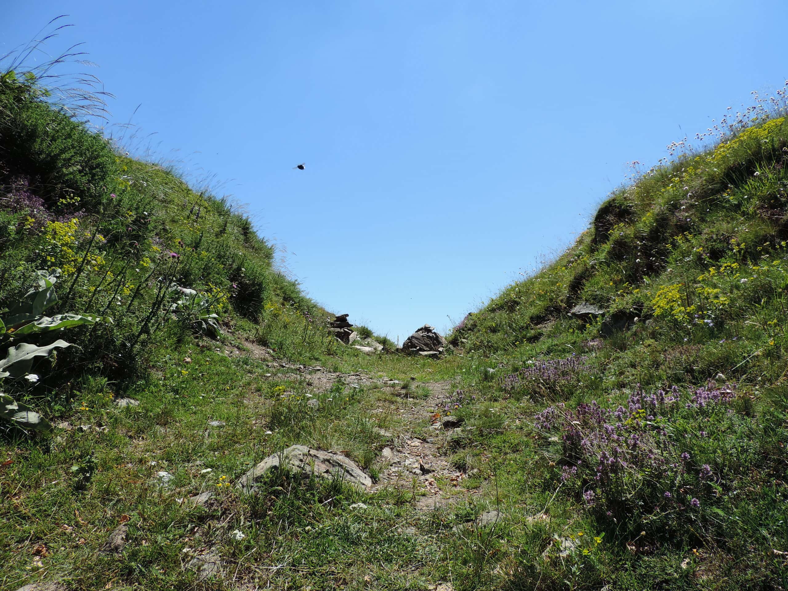 History's Forgotten Wars facts