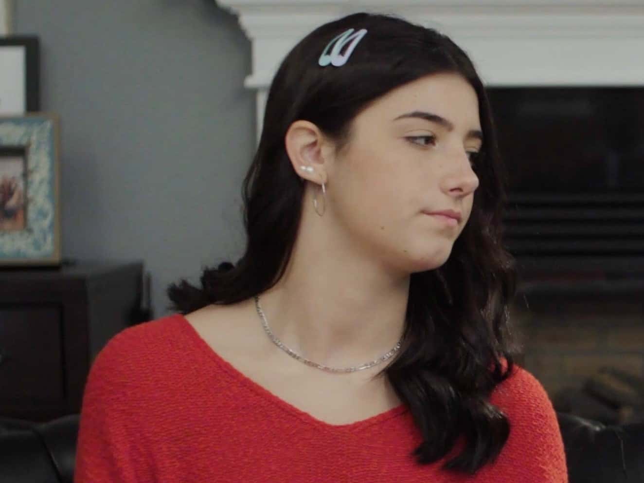 Charli D’Amelio Facts