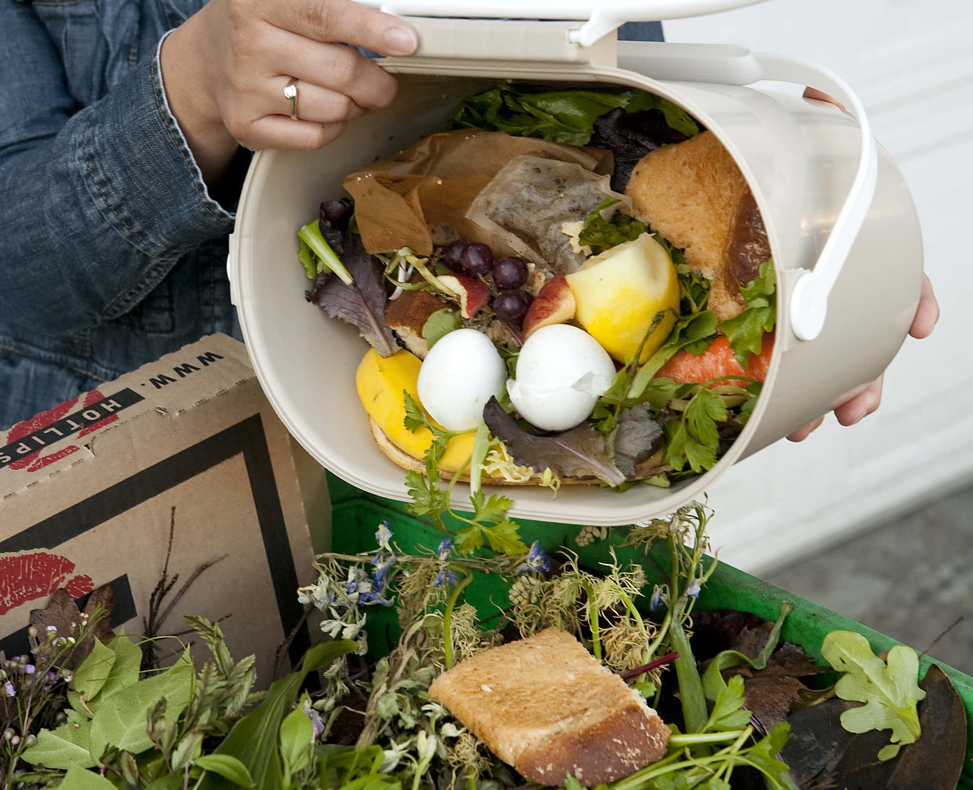 Weird Family Habits facts