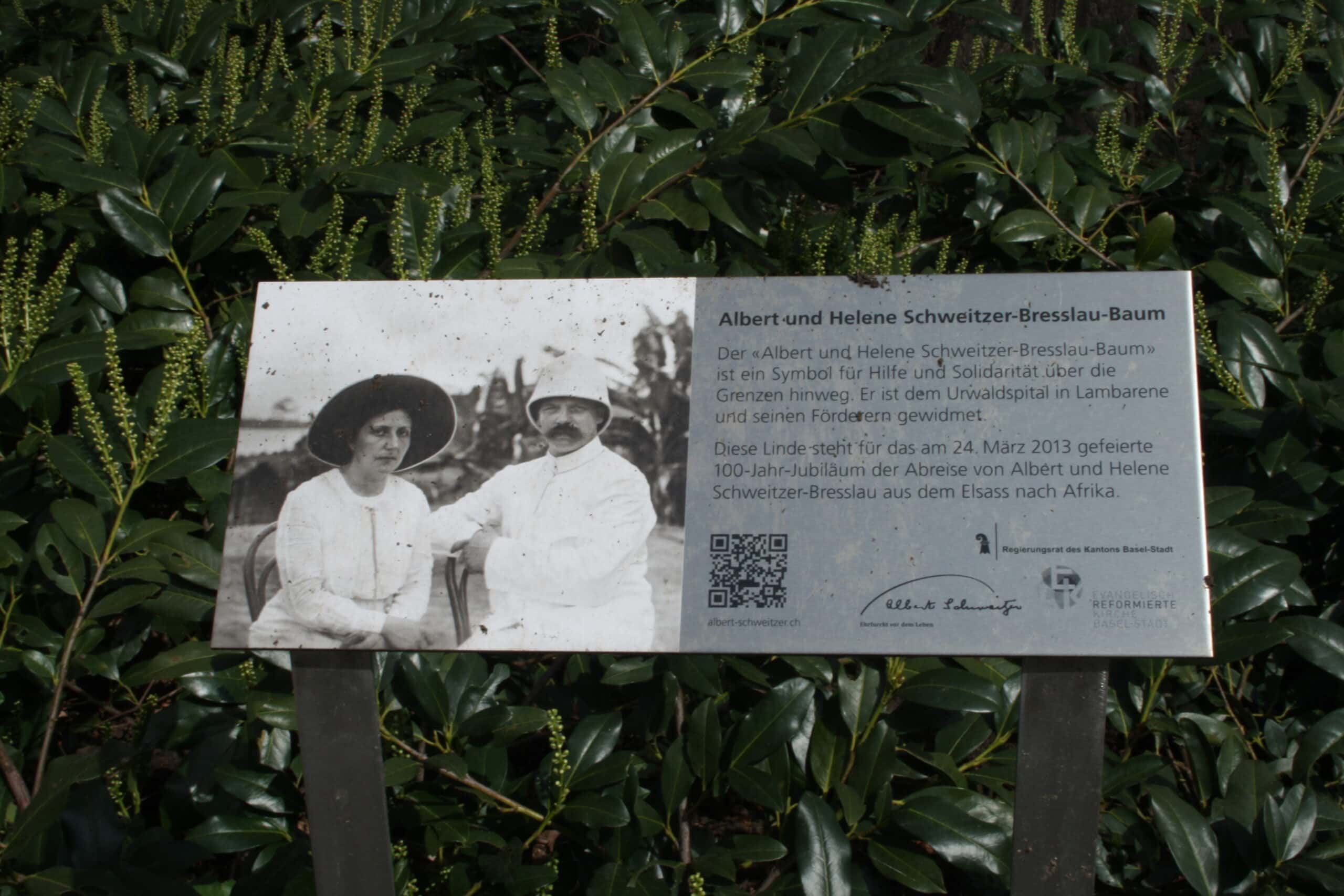 Doctors And Nurses Facts