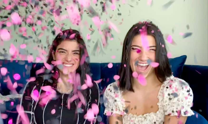 Charli D’Amelio Facts