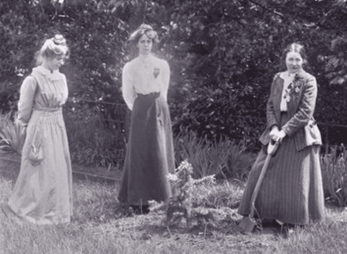 Doctors And Nurses Facts