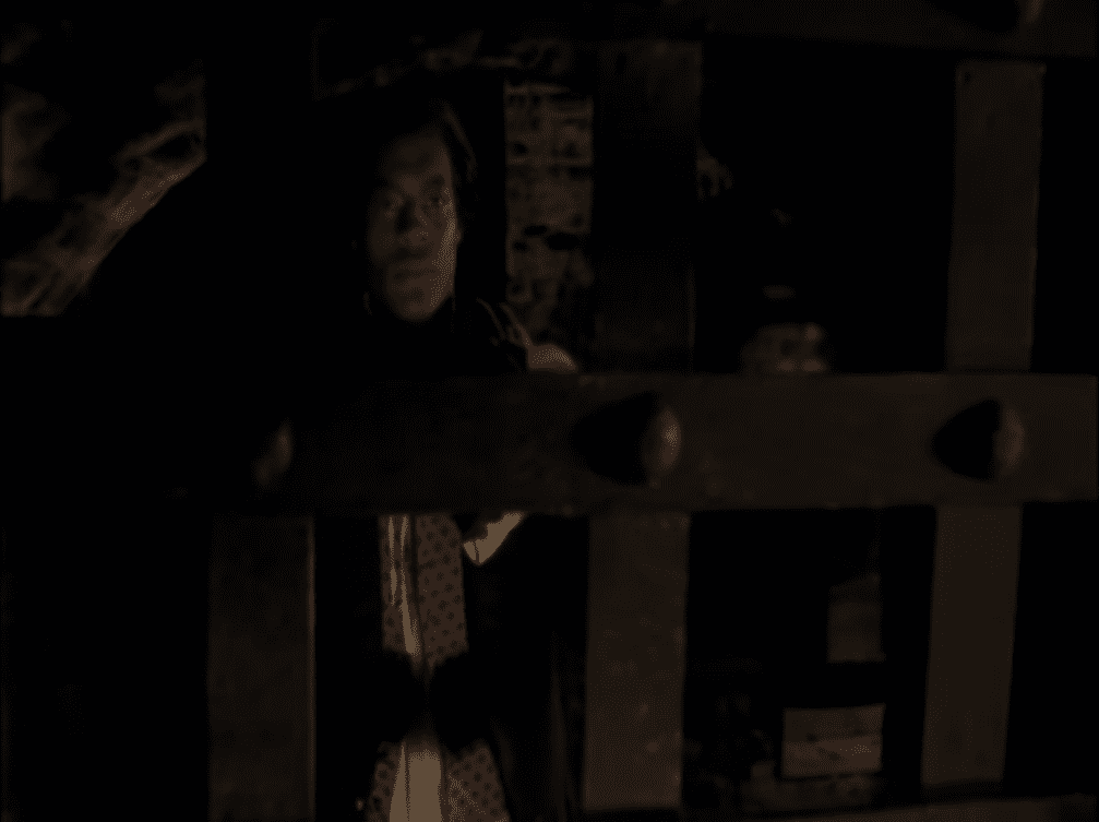 Chevalier de St. Georges Facts