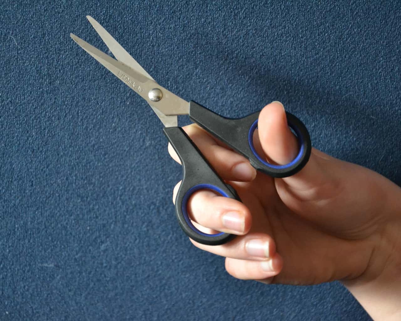 Weird Family Habits facts