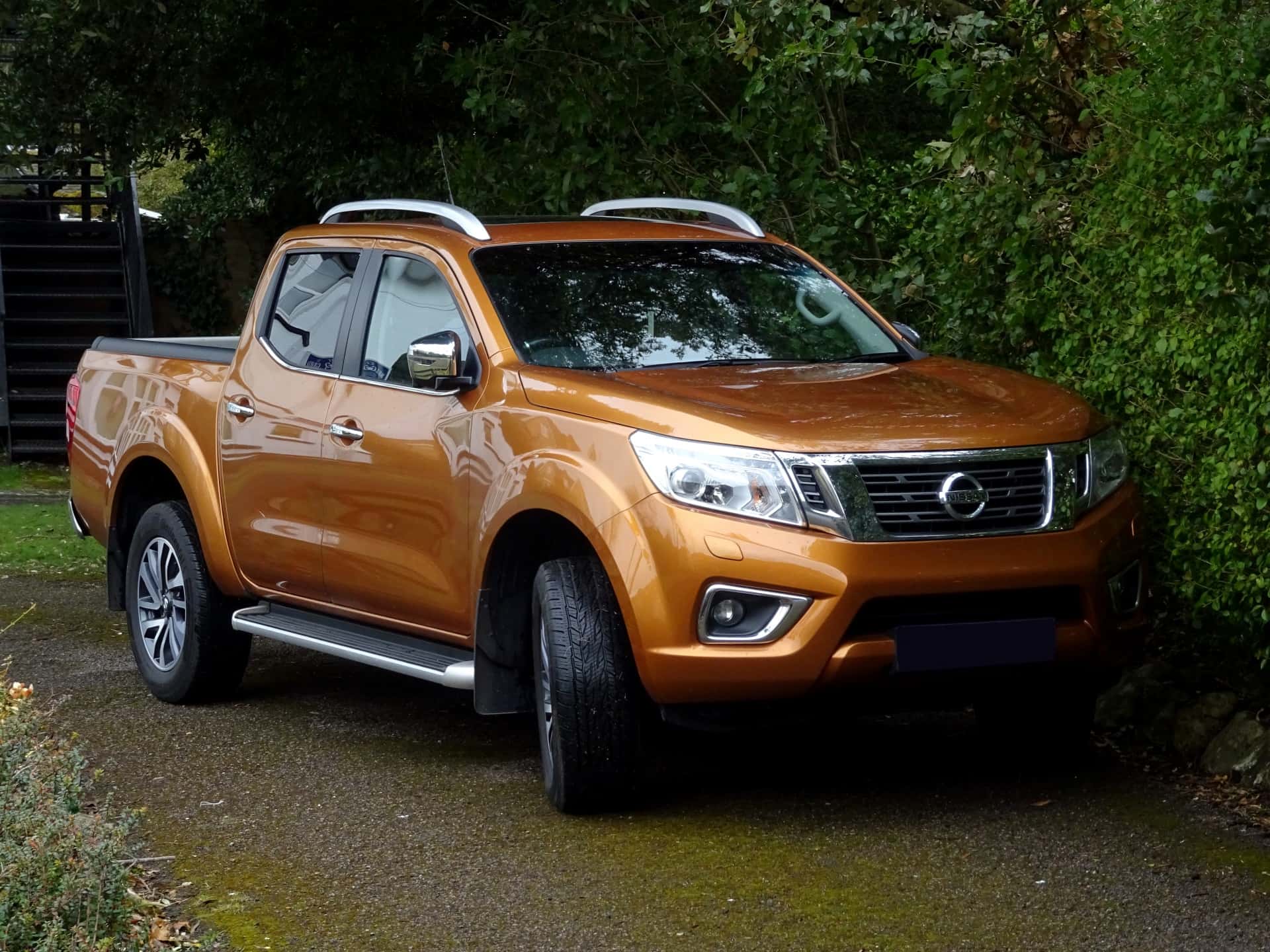 Lawyers Screwed facts