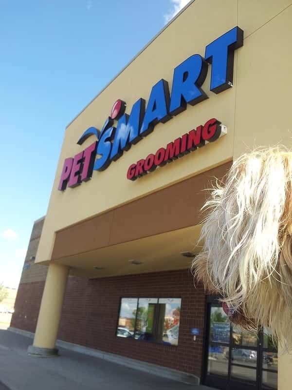 50 Leading Stores That May Not Make It To 2021