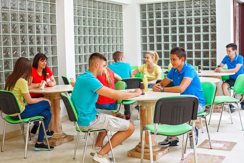 Brutal Comebacks facts