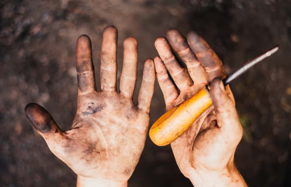 Common Courtesy fly out facts