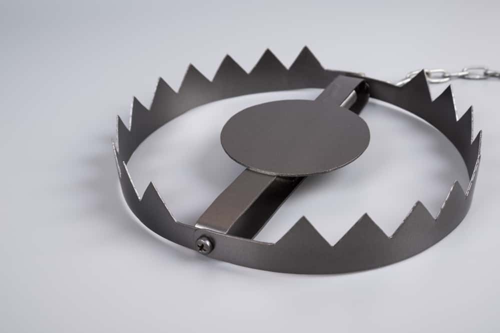 Alessandro De Medici Facts