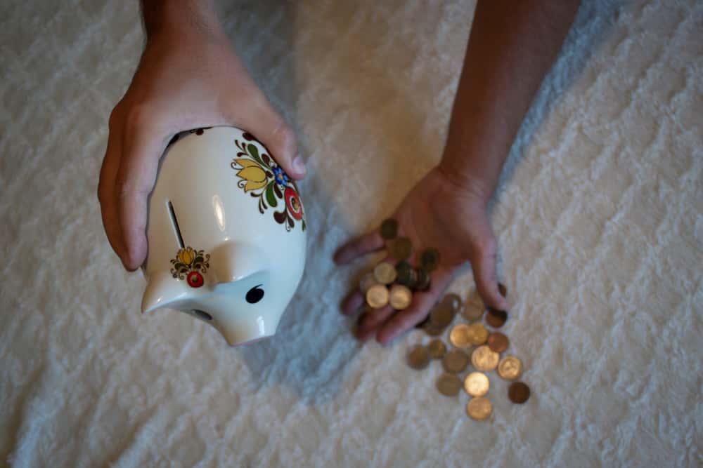 Common Courtesy fly out facts