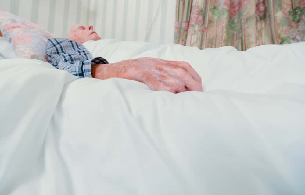 Micaela Almonester Facts