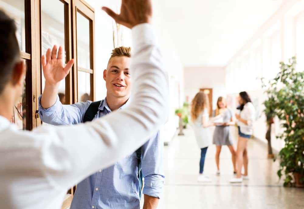 Brutal Comebacks facts 