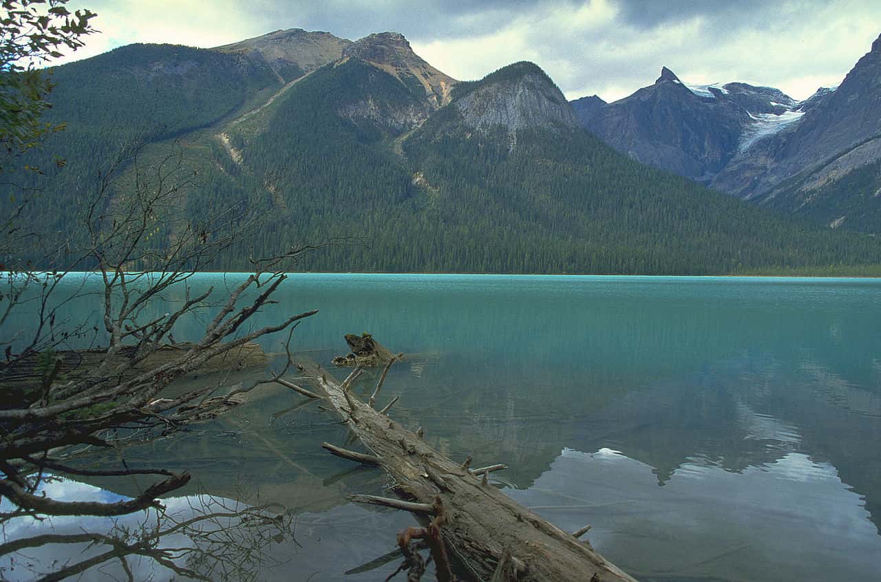 Level Of Stupid facts