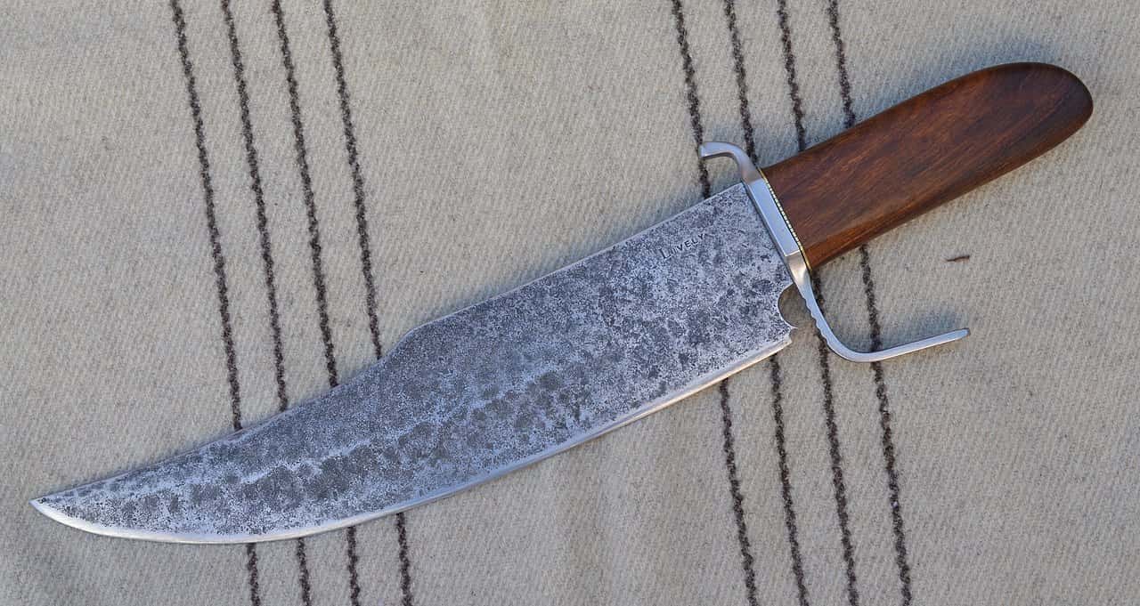 Bad Houseguest facts