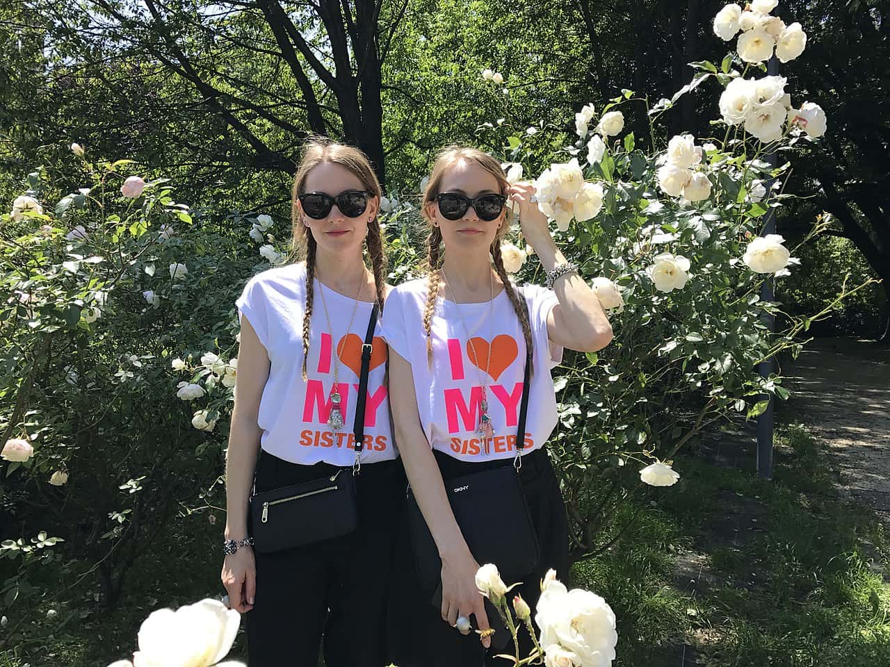 Level Of Stupid facts