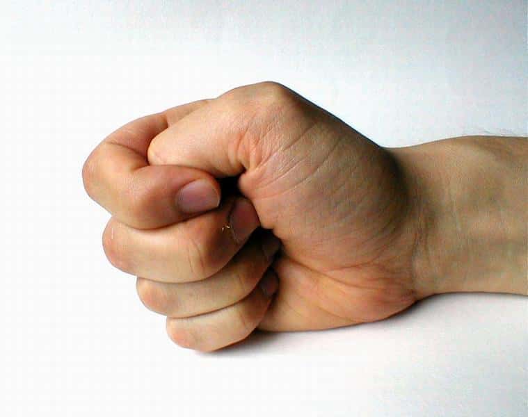 Furious Students Facts