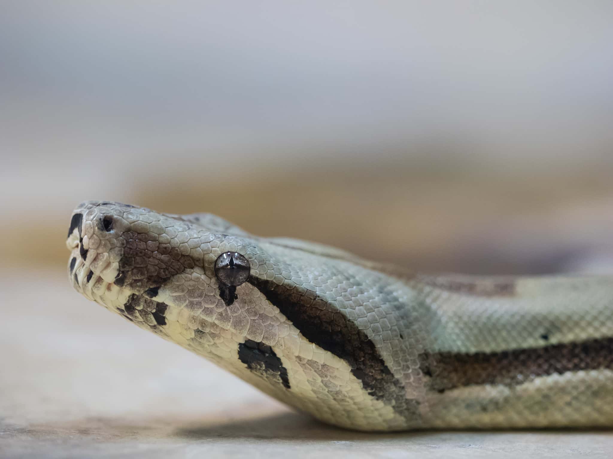 High School Incidents Facts