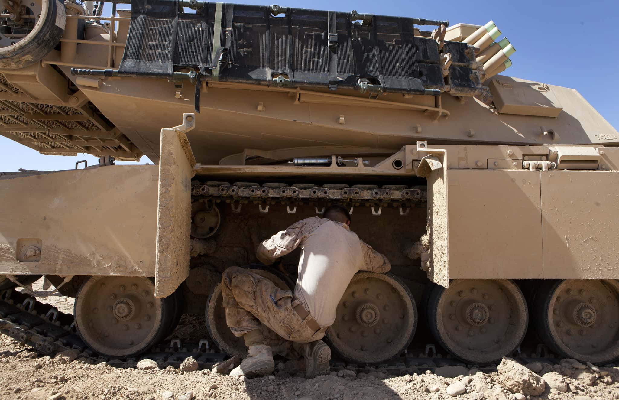 Unreal Zingers facts