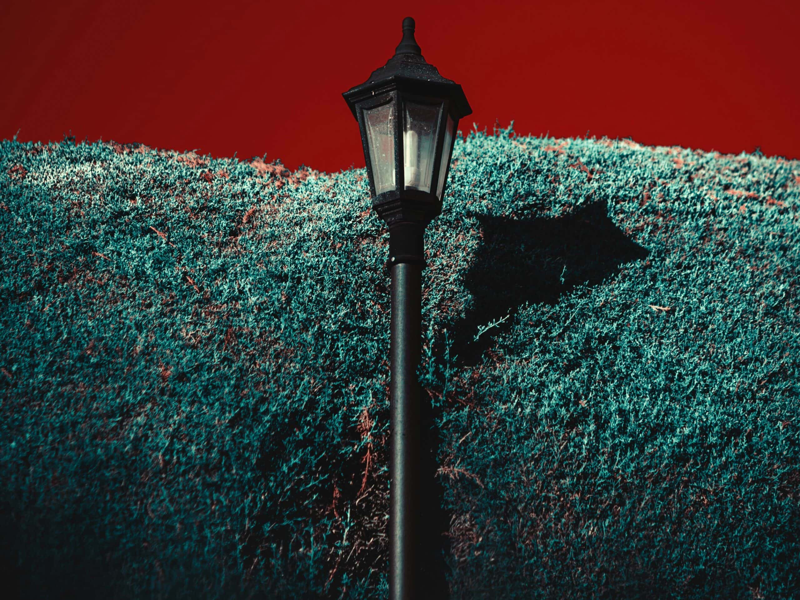 High School Incidents Facts