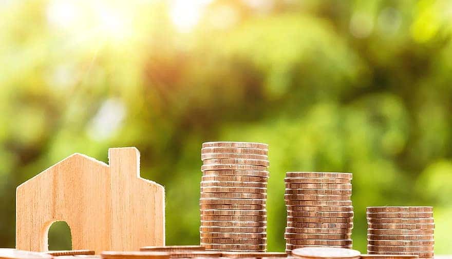 Clueless People Facts