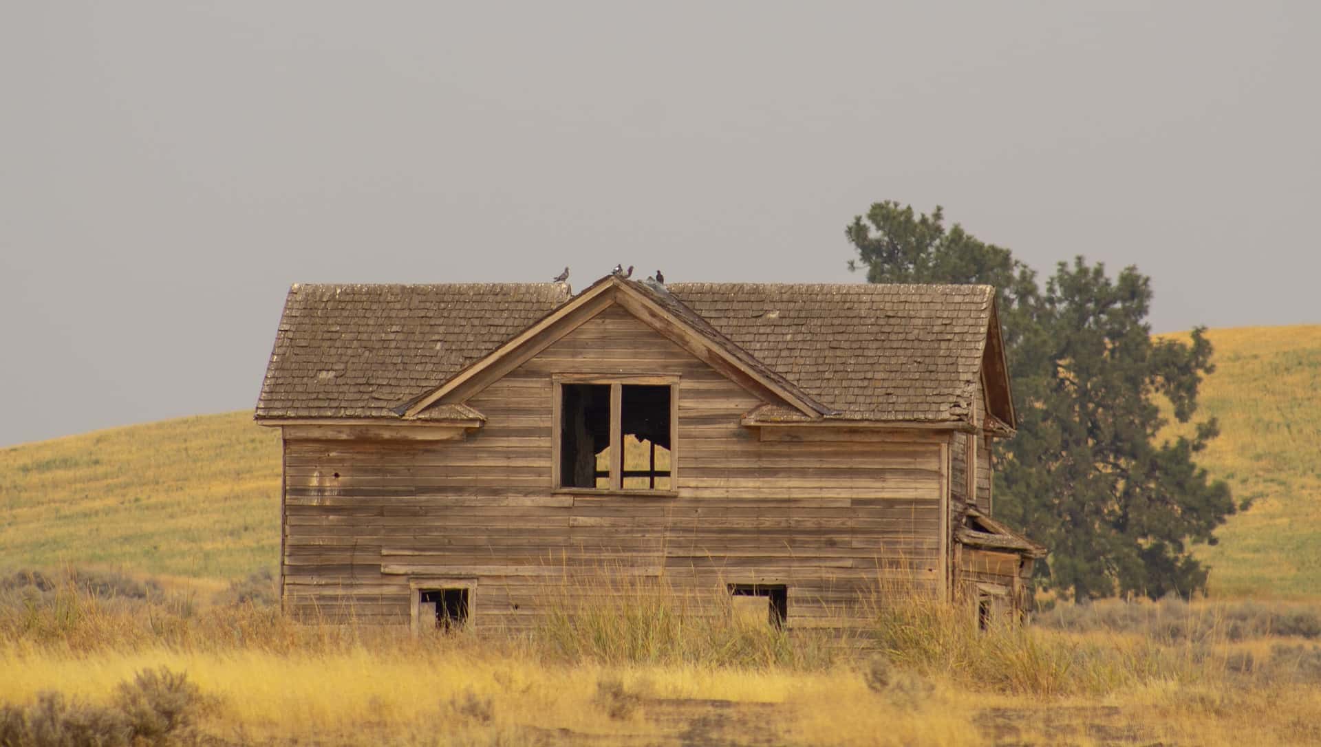 Level Of Stupid facts