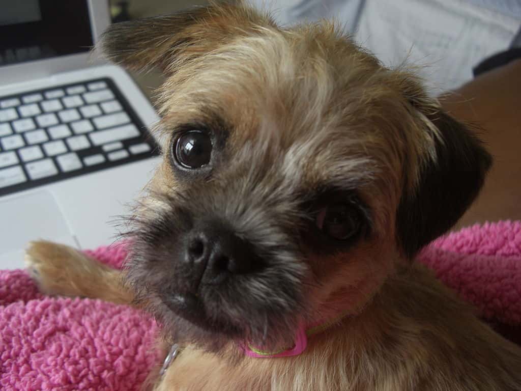 Online Classes facts