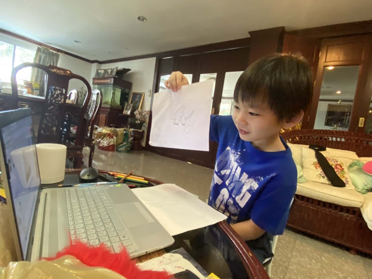 Online Classes facts