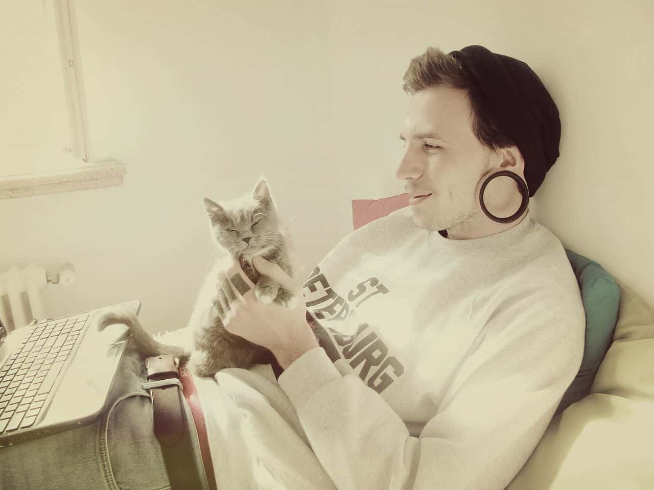 Online Classes facts