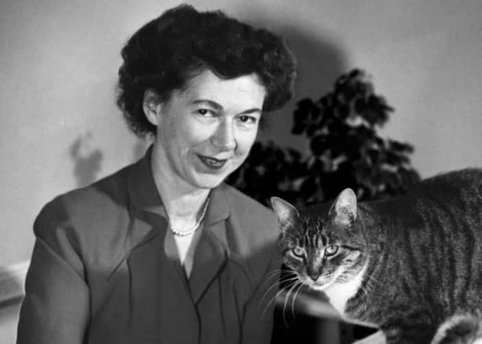 Childhood Heroes Facts