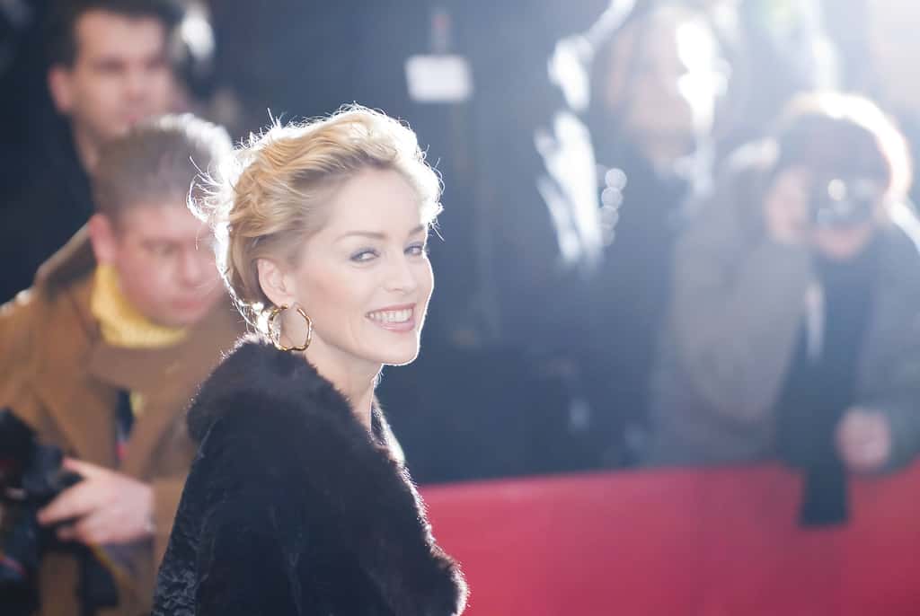 Sharon Stone facts