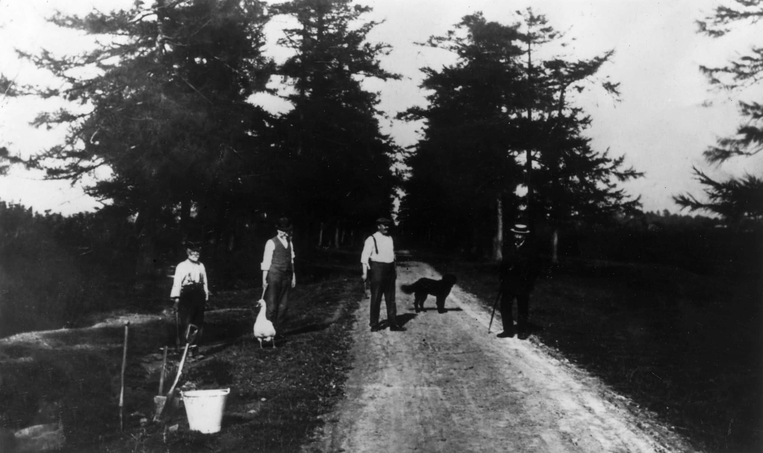 History's Biggest Liars facts