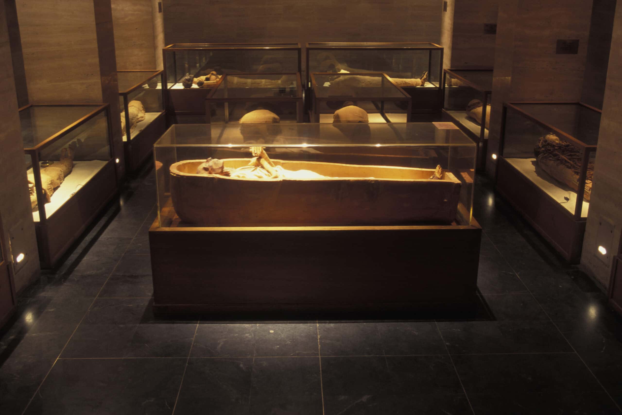 Ramses The Great facts