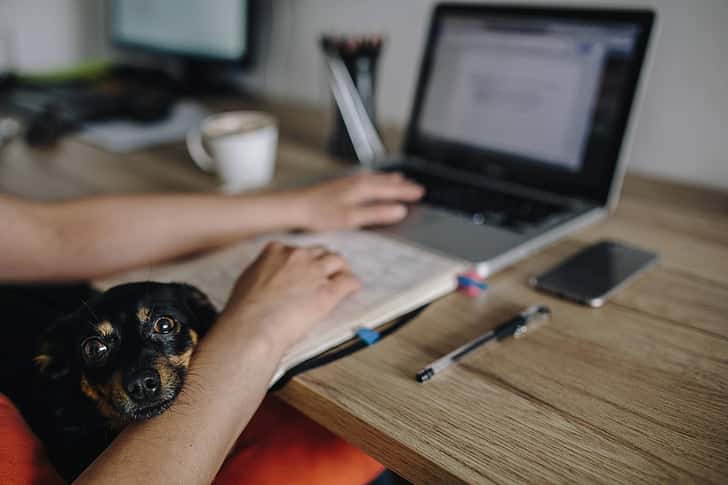 Online Classes facts