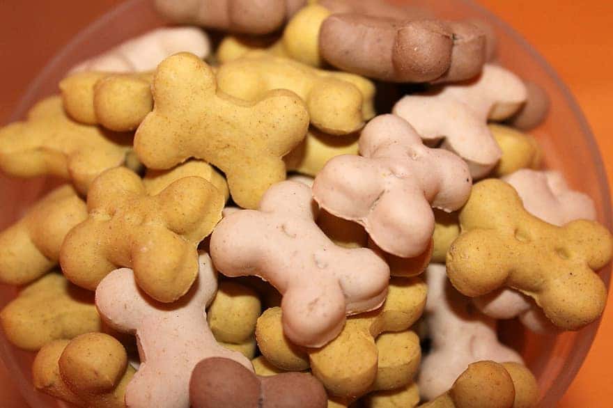 Disgusting Secrets facts