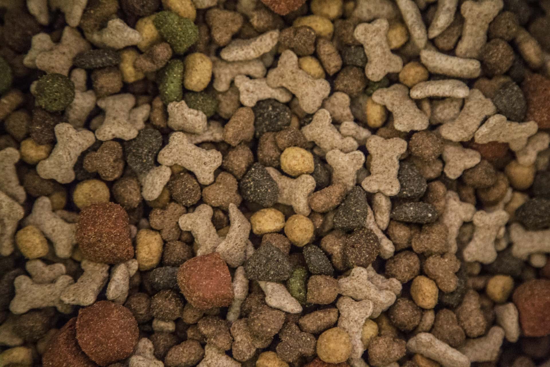 Disgusting Secrets facts