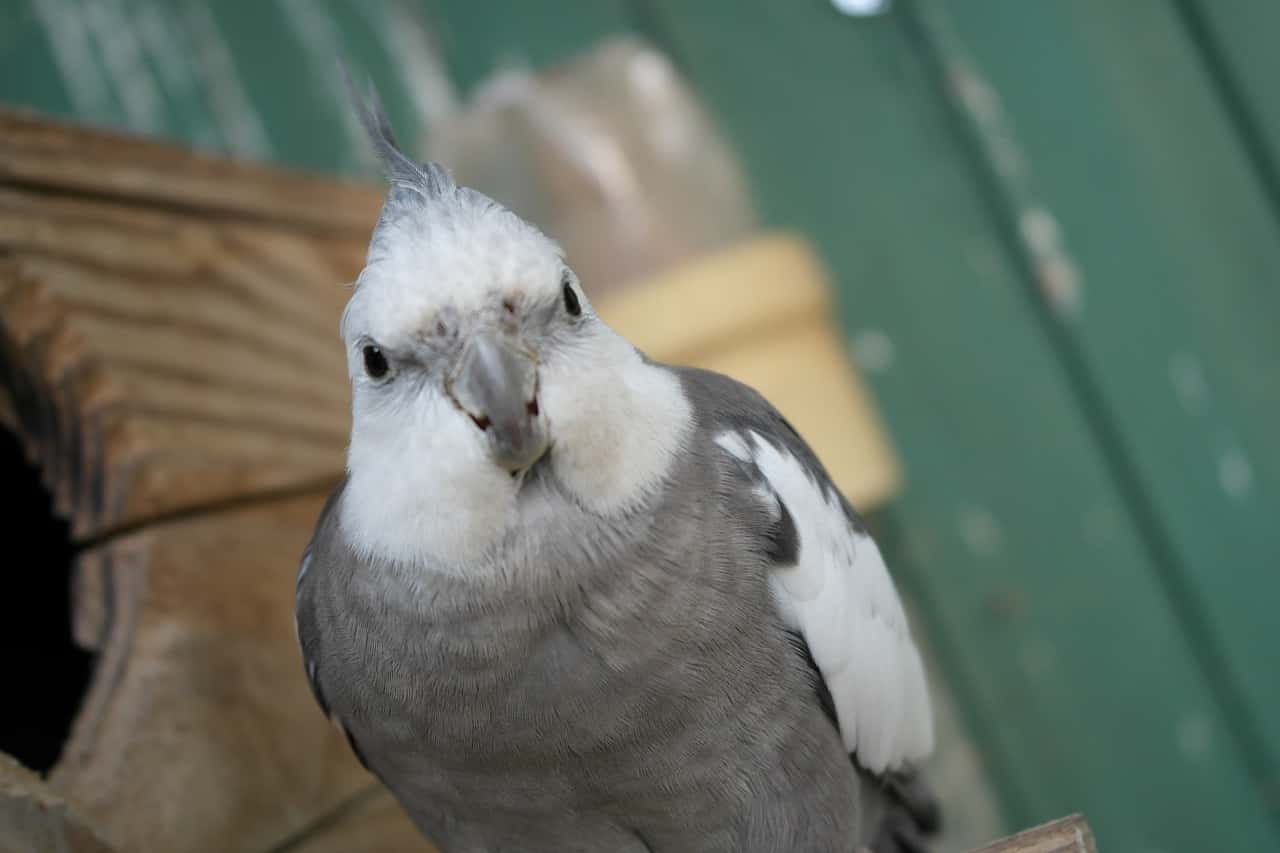 Online Classes facts